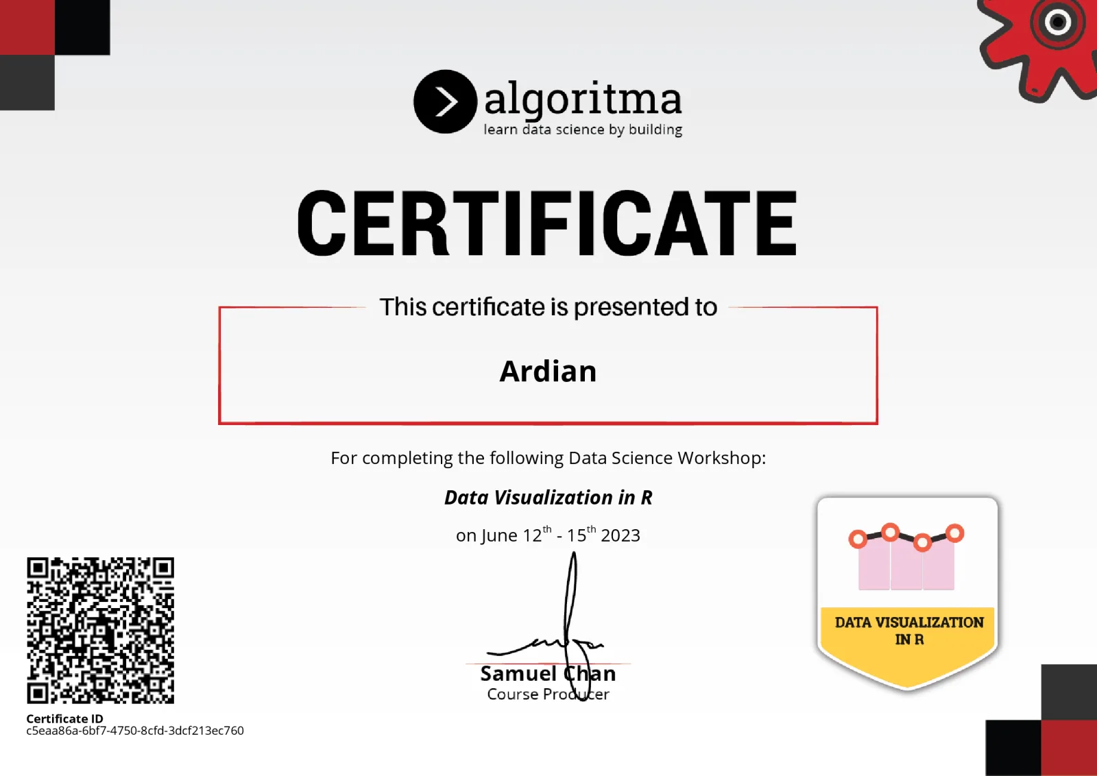 Data Visualization in R certificate